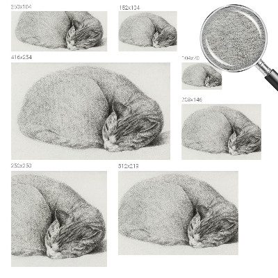 Dekorativna fototapeta Zvita mačka