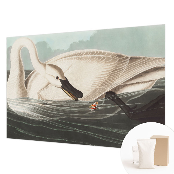 Flis fototapeta Harmonija narave