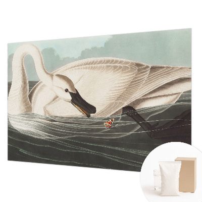 Flis fototapeta Harmonija narave