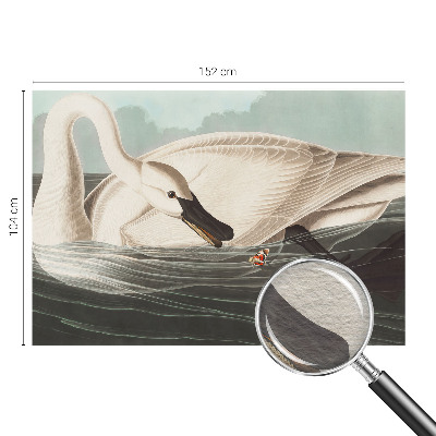 Flis fototapeta Harmonija narave