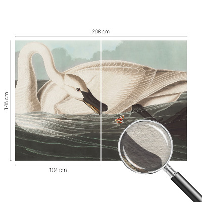 Flis fototapeta Harmonija narave