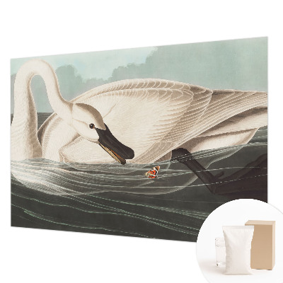 Flis fototapeta Harmonija narave