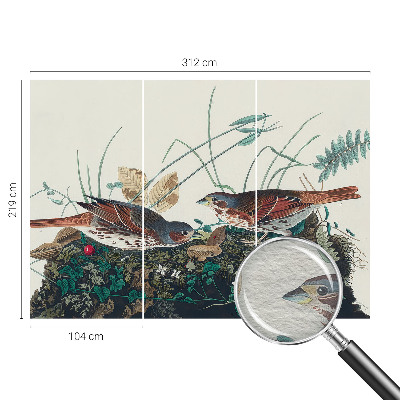 Netkana fototapeta Čar narave