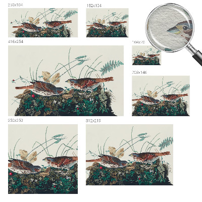 Netkana fototapeta Čar narave