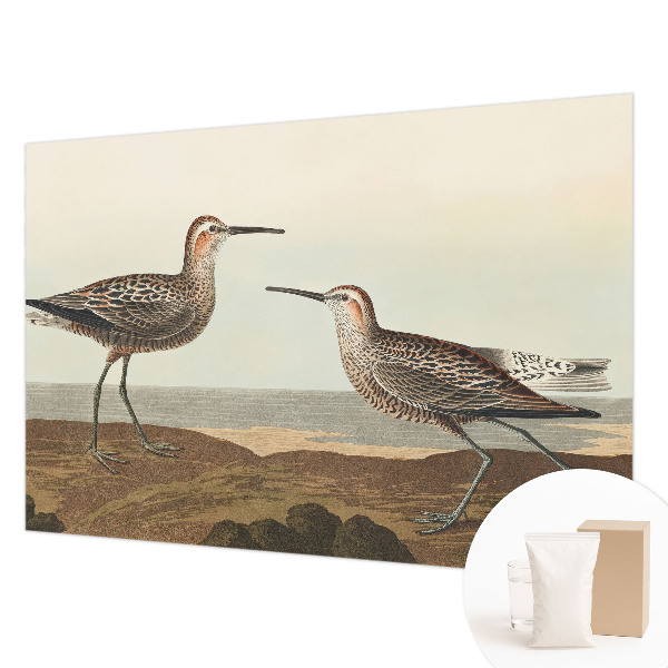 Flis fototapeta za otroško sobo Ptičje silhuete