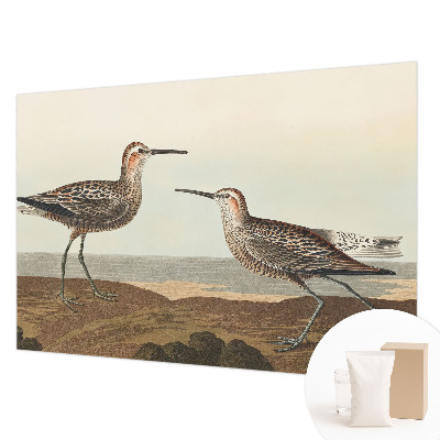 Flis fototapeta za otroško sobo Ptičje silhuete