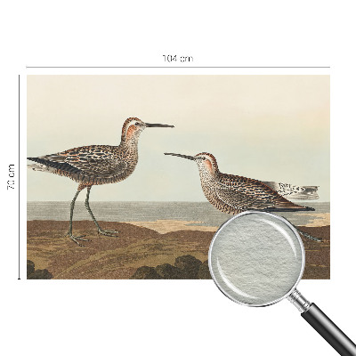 Flis fototapeta za otroško sobo Ptičje silhuete