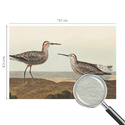 Flis fototapeta za otroško sobo Ptičje silhuete