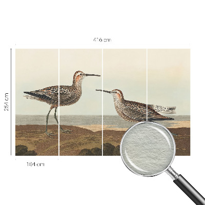 Flis fototapeta za otroško sobo Ptičje silhuete