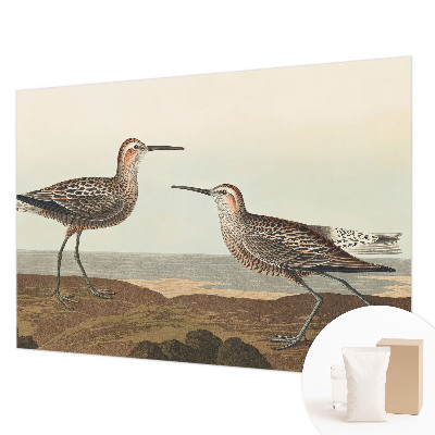 Flis fototapeta za otroško sobo Ptičje silhuete