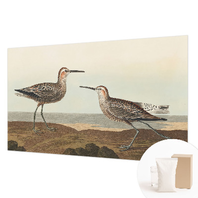 Flis fototapeta za otroško sobo Ptičje silhuete