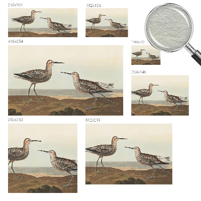 Flis fototapeta za otroško sobo Ptičje silhuete