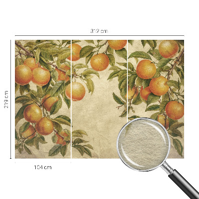 Fototapeta Sadne veje