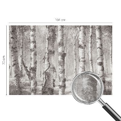 Fototapeta za steno Brezov gozd