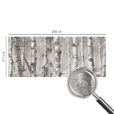Fototapeta za steno z motivom brezovega gozda