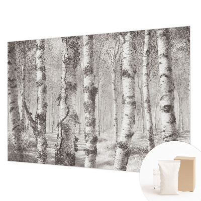 Fototapeta za steno z motivom brezovega gozda