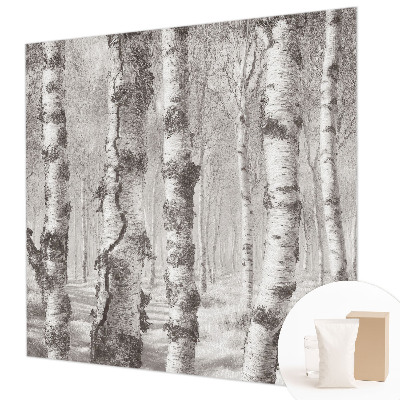 Fototapeta za steno z motivom brezovega gozda