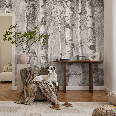 Fototapeta za steno Brezov gozd