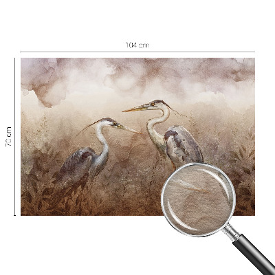 Moderna fototapeta z motivom elegantnih ptic