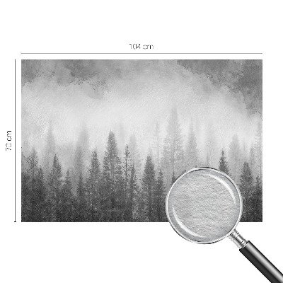 Flis fototapeta z motivom gozdne megle