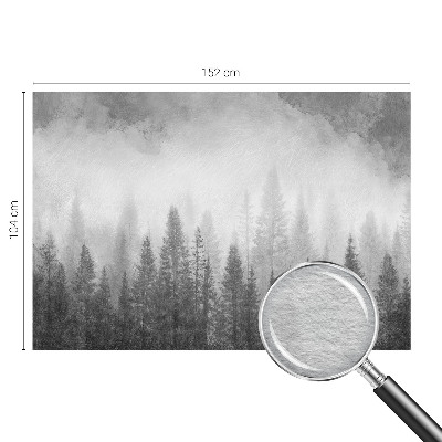 Flis fototapeta z motivom gozdne megle