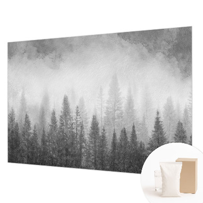 Flis fototapeta z motivom gozdne megle