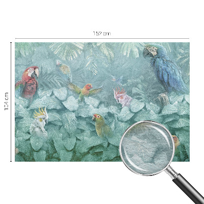 Fototapeta po meri Eksotične ptice