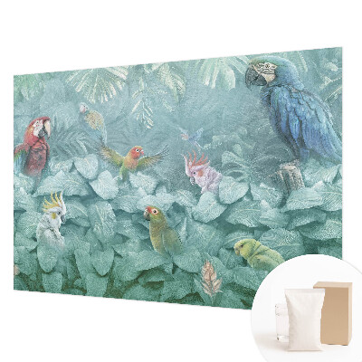 Fototapeta po meri Eksotične ptice