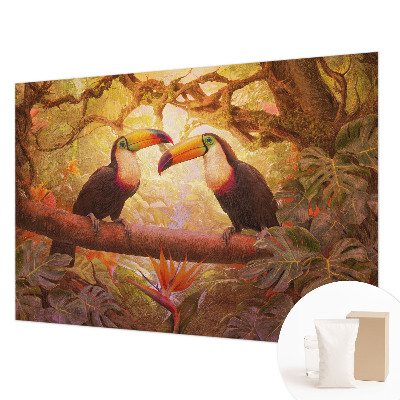 Foto tapeta Barviti tukani