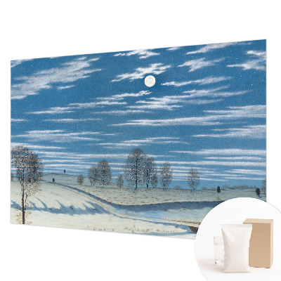 Fototapeta za steno Zimska pokrajina