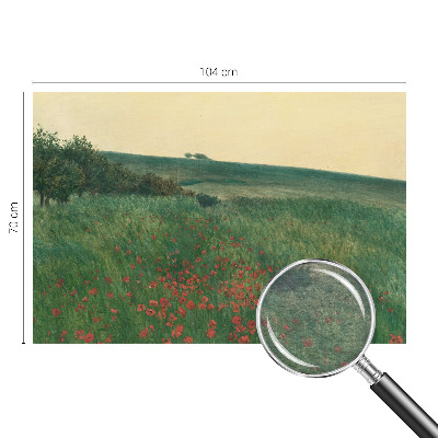 Fototapeta po meri z motivom makovih polj