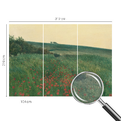 Fototapeta po meri Makova polja