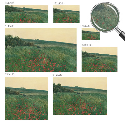 Fototapeta po meri Makova polja