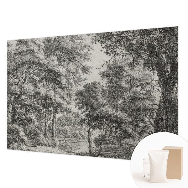 Stenska dekoracija fototapeta z motivom gozdne pokrajine