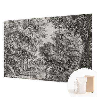 Stenska dekoracija fototapeta z motivom gozdne pokrajine