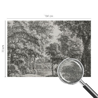 Stenska dekoracija fototapeta Gozdna pokrajina