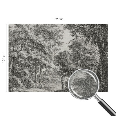 Stenska dekoracija fototapeta z motivom gozdne pokrajine