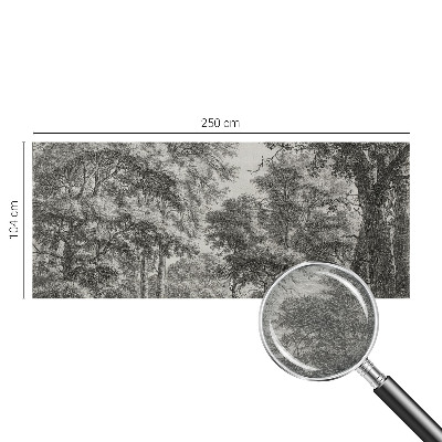 Stenska dekoracija fototapeta z motivom gozdne pokrajine