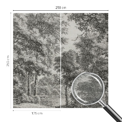 Stenska dekoracija fototapeta z motivom gozdne pokrajine