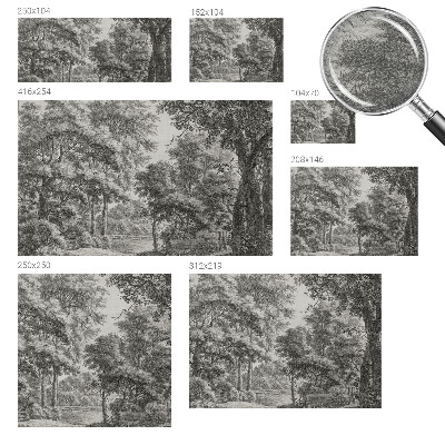 Stenska dekoracija fototapeta z motivom gozdne pokrajine