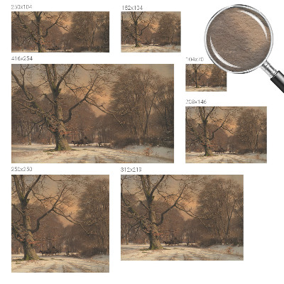 Fototapeta za steno z zimsko pokrajino