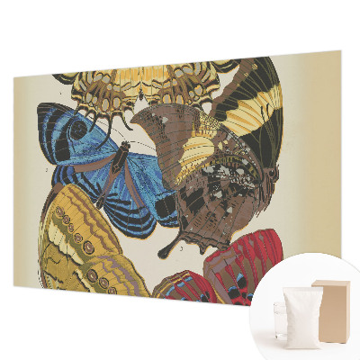 Visokokakovostna fototapeta Navdih za metulje