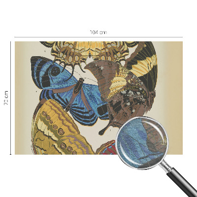 Visokokakovostna fototapeta Navdih za metulje