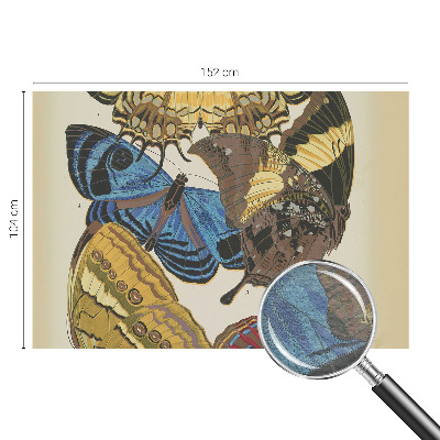 Visokokakovostna fototapeta Navdih za metulje