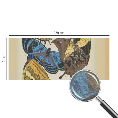 Visokokakovostna fototapeta Navdih za metulje