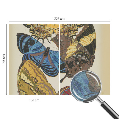 Visokokakovostna fototapeta Navdih za metulje