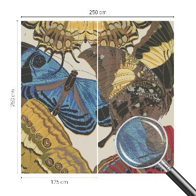 Visokokakovostna fototapeta Navdih za metulje