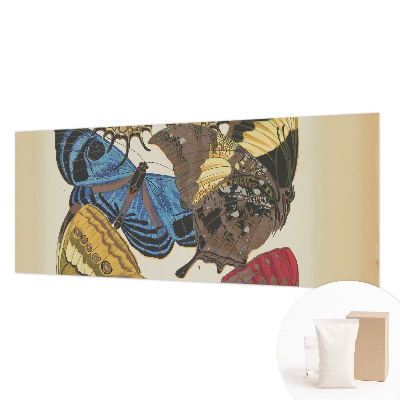 Visokokakovostna fototapeta Navdih za metulje