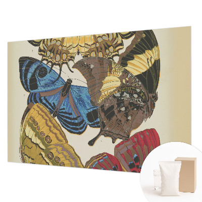 Visokokakovostna fototapeta Navdih za metulje