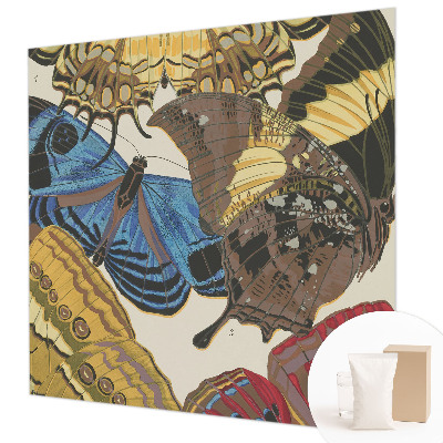 Visokokakovostna fototapeta Navdih za metulje